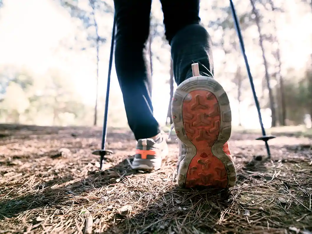 Person hiking through the forest